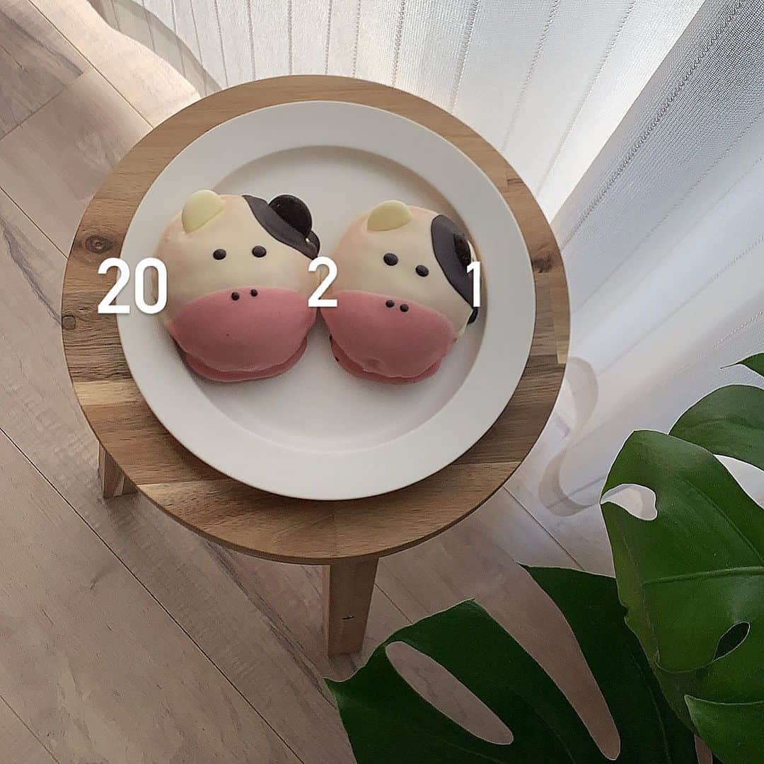 ukapiのインスタグラム：「⠀ ⠀ 2021年　丑🐮 ⠀ 明けましておめでとうございます🎍(遅) ⠀ 家に可愛い丑さんがいたので🐮！ ⠀ #クリスピークリームドーナツ  #2021#丑#🐮」