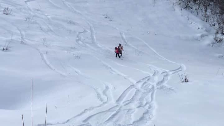 hoshinofumikaのインスタグラム：「Fun time w 🐕💖 @yuki_hoshino1201 ❄️ 新しいアイコンになったベースは この一本のランから生まれました💖🐕🏂 今年も優しいお兄さんたちと一緒に 裏庭スノーボード散歩いこうね🐕🏂🏂🏂🏔  @jimmmi @kanekoyasushi 👬 . . . . . . #裏山　#犬スノボ　#スノーボード #可愛い　#hoshinoyuki #柴犬 #shiba #shibadog #愛犬 #雪山 #snowboarding #snowboard」