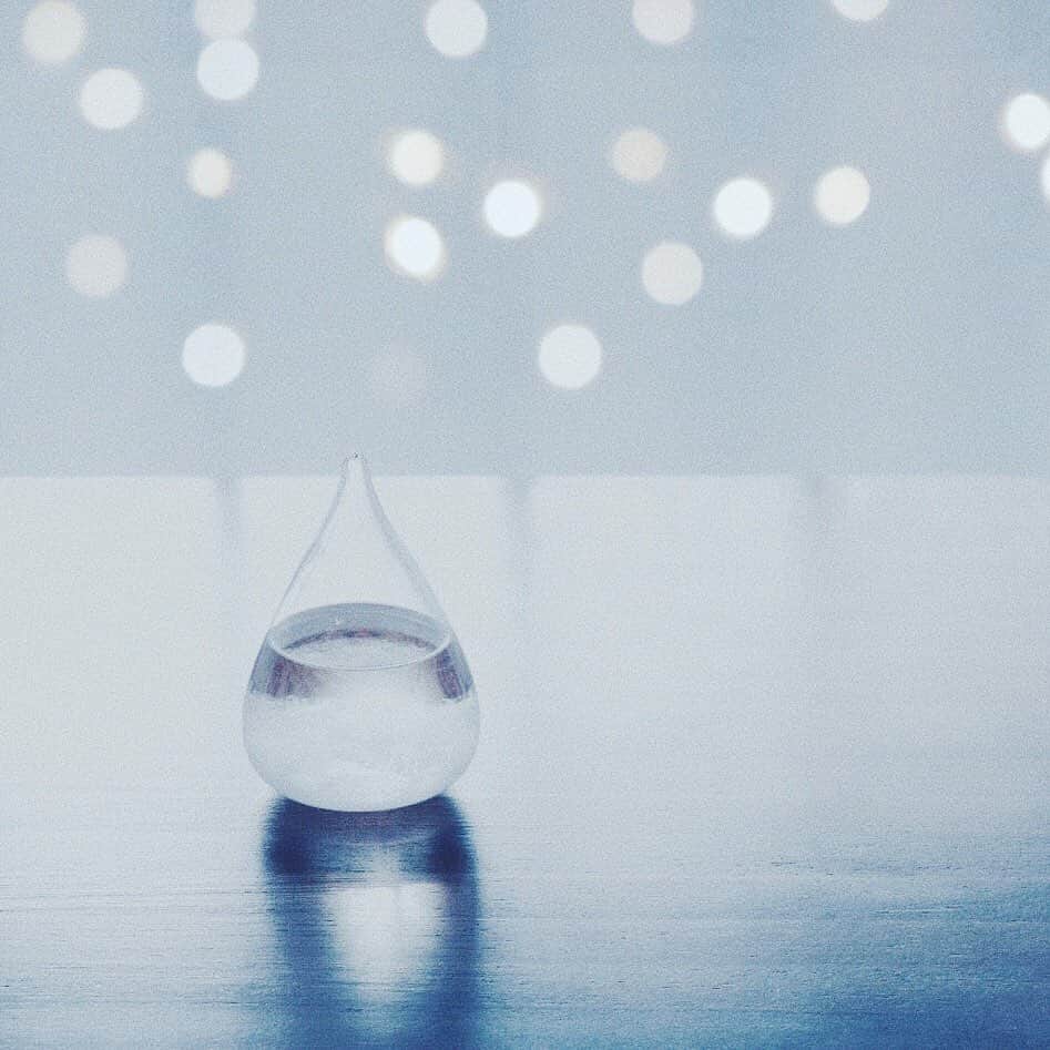 のインスタグラム：「のんびり  ﻿ ﻿ ﻿ ﻿ ﻿ ﻿ ﻿ ﻿ ﻿ ﻿ ﻿ ﻿ ﻿ ﻿ ﻿ ﻿ #xt3 #fujifilm_xseries ﻿ #ig_hokkaido #instagramjapan #ig_japan_  #ifyouleave #vscocam #still_life_mood #reco_ig #nature_brilliance #ig_eternity #heart_imprint  #infinity_softly ﻿ #daily_photo_jpn #photogram_archive #moody_photograph #moody_grams #ig_phos #phos_japan #as_archive  #into_the_screen ﻿ ﻿#todays_blue_collection  ﻿ ﻿ ﻿」