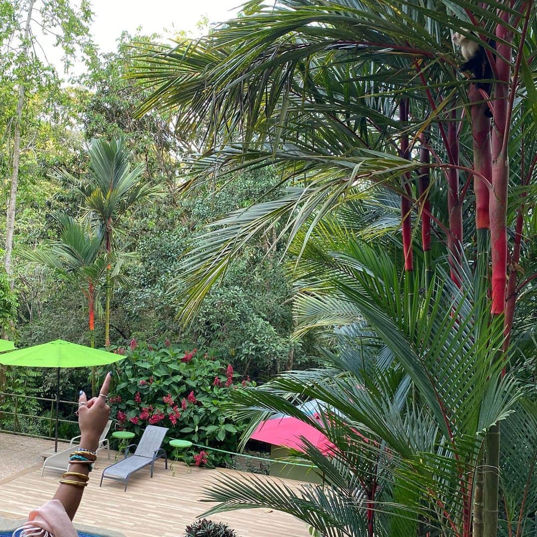 Herizen Guardiolaさんのインスタグラム写真 - (Herizen GuardiolaInstagram)「From the jungle 🌿🌺🐒」1月9日 11時43分 - herizen_fawn