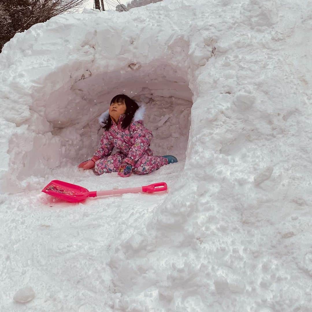 太陽チャンネルのインスタグラム：「一生雪降るんかな…？⛄ 2021/01/09」