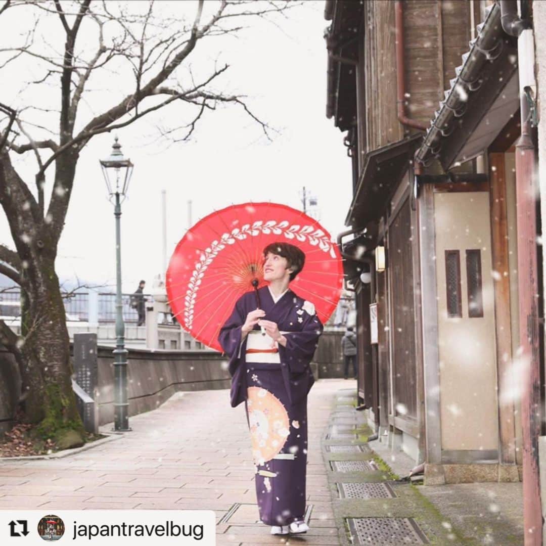 金沢着物レンタルshop心結〜kokoyui〜のインスタグラム：「素敵なお写真ありがとうございます👘🍃 . シェアさせて頂きます😊💞 . ⚫︎金沢駅前 着物レンタル心結(ここゆい)  ⚫︎営業時間 : 9:00〜18:00 ⚫︎address : 金沢市本町1-3-39 ⚫︎tell : 076-221-7799 ⚫︎金沢駅から徒歩5分  ⚫︎コインパーキング補助あり  心結の着物一覧▶@kokoyui_kimono 振袖や袴はこちら▶@kokoyui_furisode 七五三やお子さんの着物はこちら▶@kokoyui753 . #着物ヘア #ヘアセット #和服 #着物 #着物コーディネート #きもの #着物女子 #着物男子」