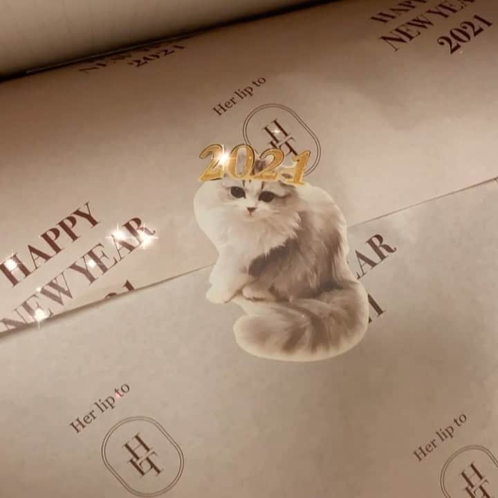 SHIHORINのインスタグラム：「𓂃𝐻𝑒𝑟𝑙𝑖𝑝𝑡𝑜🐈🍒  昨日届いてたっ📦♡ ダンボール開けた瞬間けむしたんが出てきて きゃわぁぁぁってなりました🥺🤍  iPhoneに貼る🐈ꕀ♡˒˒  #herlipto #newyearbag #2021」