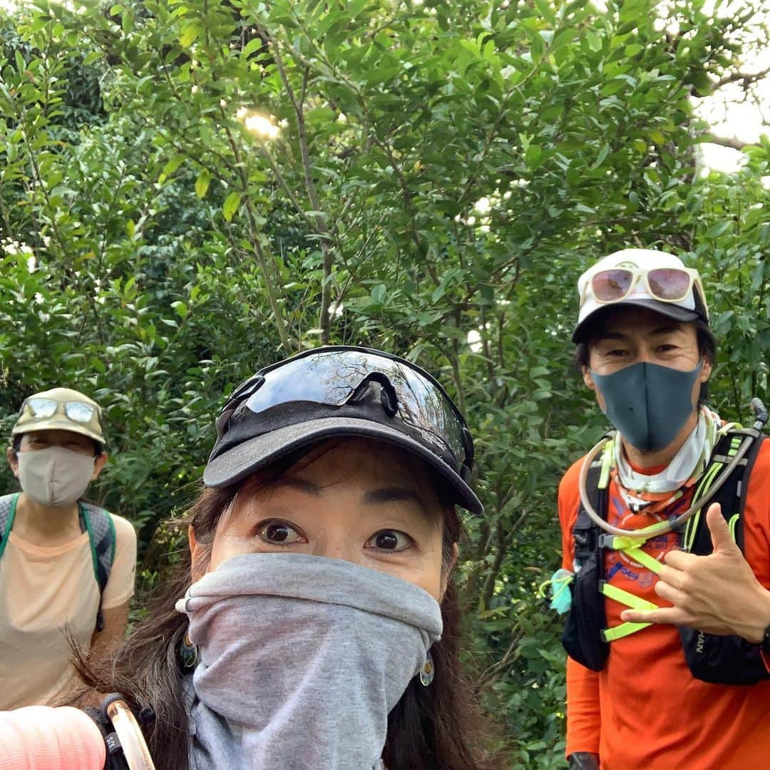飯島寛子さんのインスタグラム写真 - (飯島寛子Instagram)「今朝はウルトラトレイルランナー @taquecy さんリードで @alohamaliko ちゃんと(植物や夜鳥のエキスパート) Triple Trek Loopへハイキング！  今日の収穫は木くらげ  シナモンの葉やコーヒー豆など、景色と植物楽しめました。  9マイル　久しぶりにきつかったぁー  #tripletrekloop #ハワイトレイル #ハワイ暮らし」2月7日 15時51分 - hirokoiijima