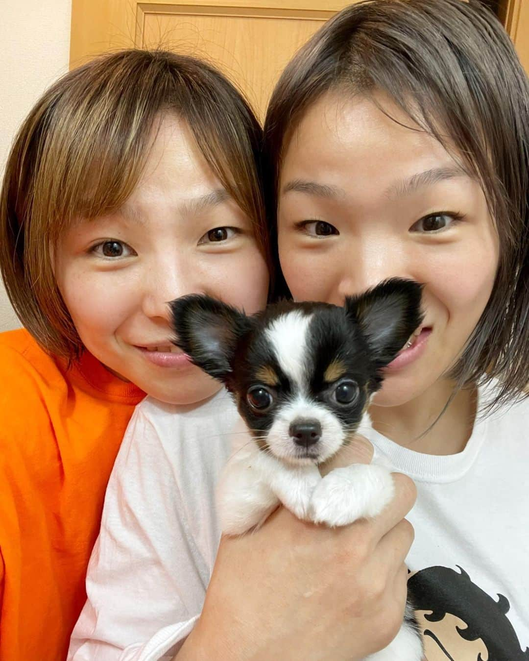 川井友香子さんのインスタグラム写真 - (川井友香子Instagram)「癒し🐶🧡🤎」2月7日 16時11分 - yukako_kawai27