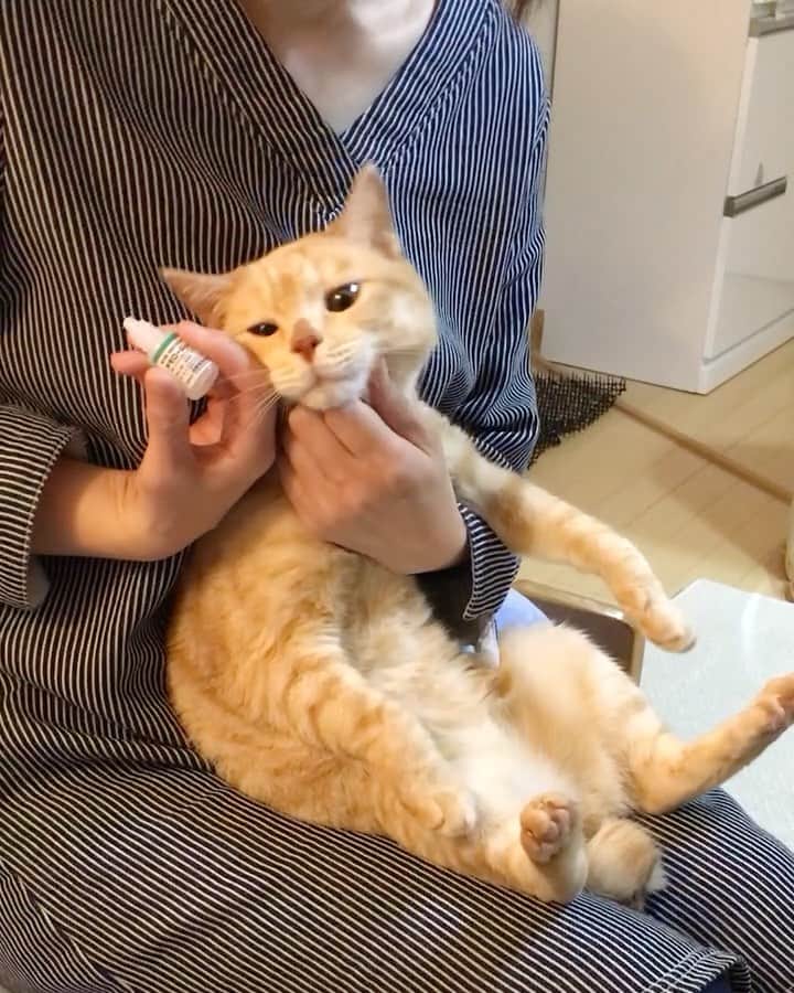 ruiruiのインスタグラム