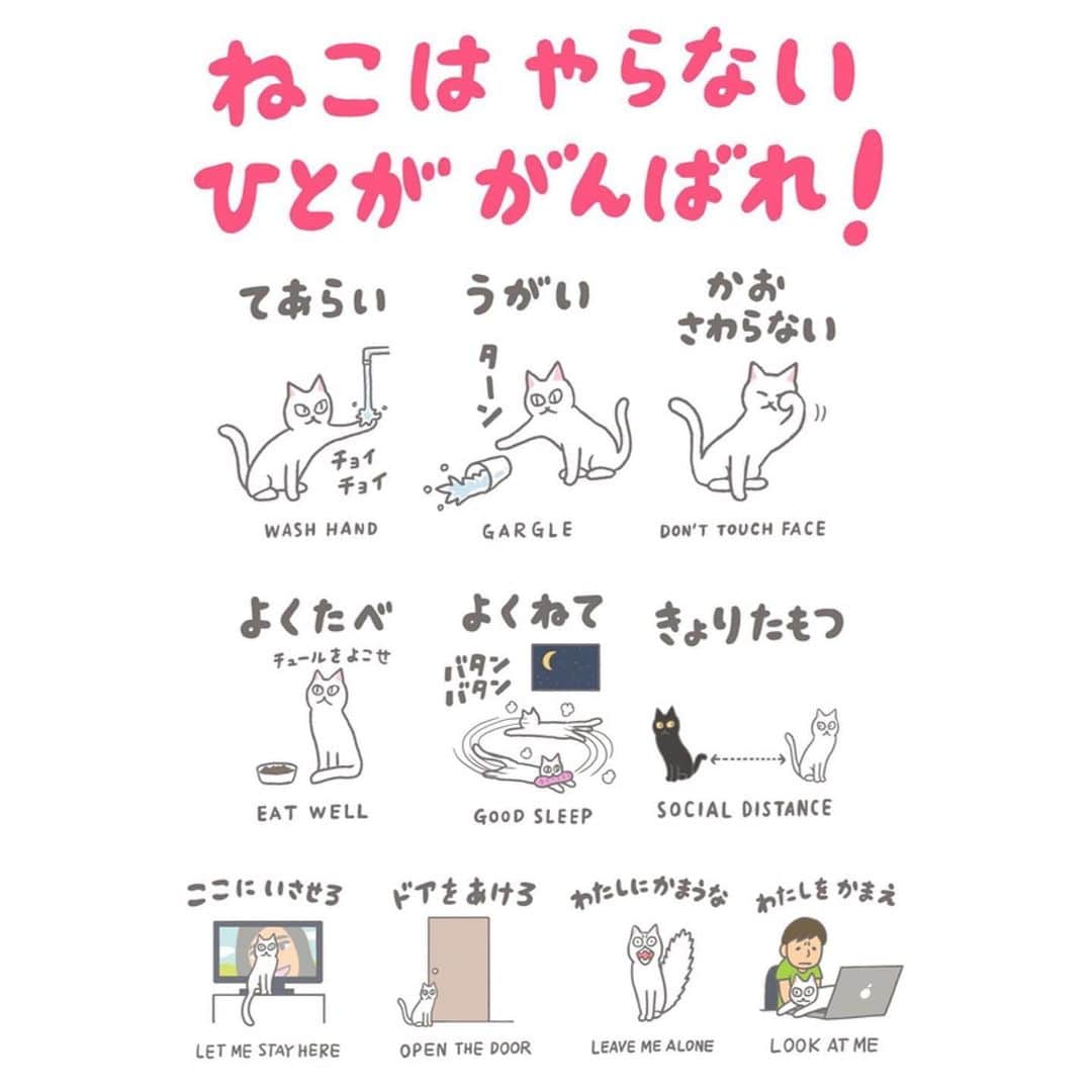 加藤侑紀のインスタグラム：「超可愛的防疫叮嚀圖🥺💕 『貓不遵守，人們加油』『狗都做得到，人也加油』 我最喜歡右下喵喵🐈你有找到喜歡的嗎？😉 ・ 癒されるから何度も見ちゃう🥺💕 右下のにゃんこが私は一番好き🐈お気に入り見つかった？😉 ・ ・ #みずしな孝之 さん作品 #貼心叮嚀 #防疫常識 #對抗疫情 #ユーモアを忘れずに #コロナに負けずに笑おう #幽默語錄 #可愛喵喵 #可愛狗狗🐶 #笑出來 #クスッと  #諷刺語錄 #皮肉 #可愛いにゃんこ #可愛いわんこ達 #いっぬー #ぬこぬこ」