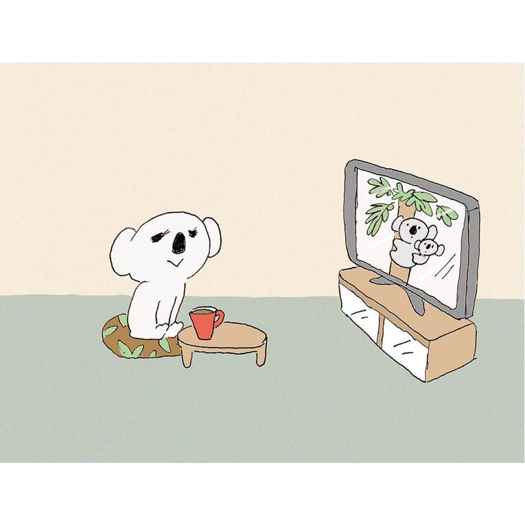 ハルペイのインスタグラム