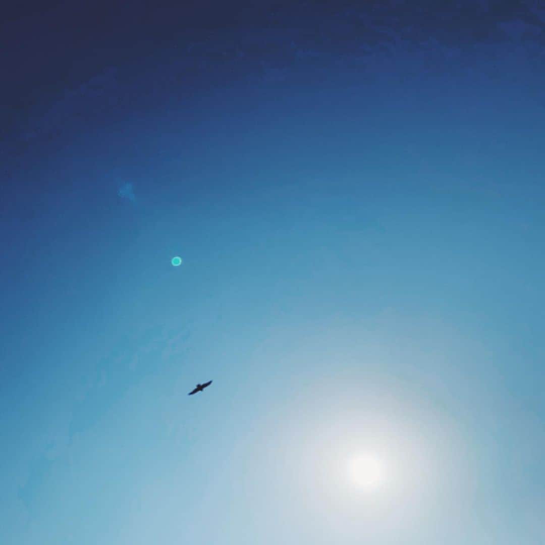 沙田瑞紀さんのインスタグラム写真 - (沙田瑞紀Instagram)「☀️🐣 撮影無事終了💫」2月7日 16時56分 - mizuki_masuda
