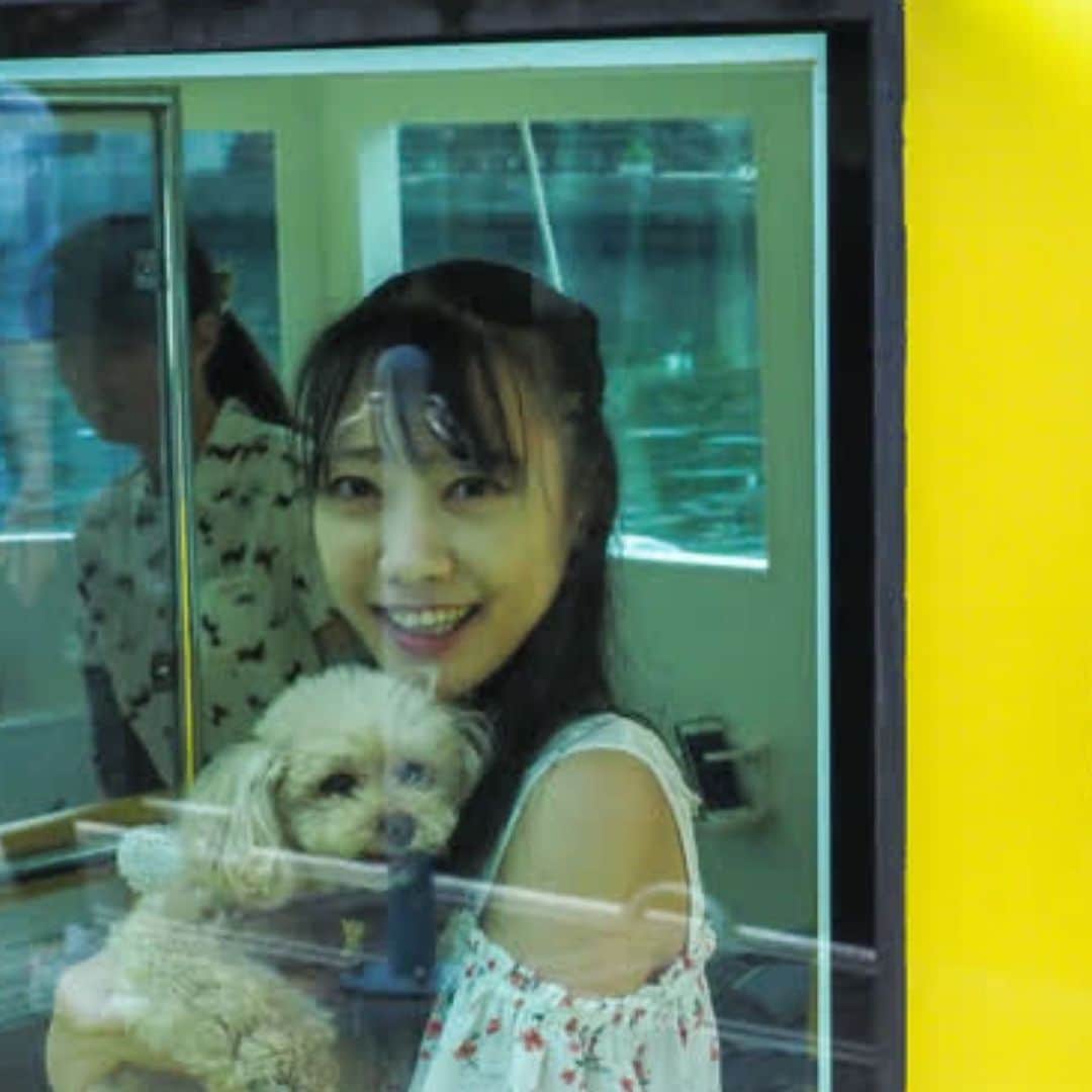 TOKYO WATER TAXIさんのインスタグラム写真 - (TOKYO WATER TAXIInstagram)「東京都内で安心して ペットとお出かけできる楽しい場所。それが水辺。  東京ウォータータクシーで ウォータートリップすれば飼い主さんもペットもたちまち笑顔に😊🎶 天王洲や日の出エリアにはペット可のレストランやカフェがあります^ ^  大型犬ワンチャンもリードのまま 乗り込みOKです^ ^  #ペットのいる生活  #大型犬との暮らし  #ペット可 #プライベートチャーター #港区 #東京観光  #マイクロツーリズム東京  #うみんぽ #dogfriendry」2月7日 16時48分 - tokyowatertaxi