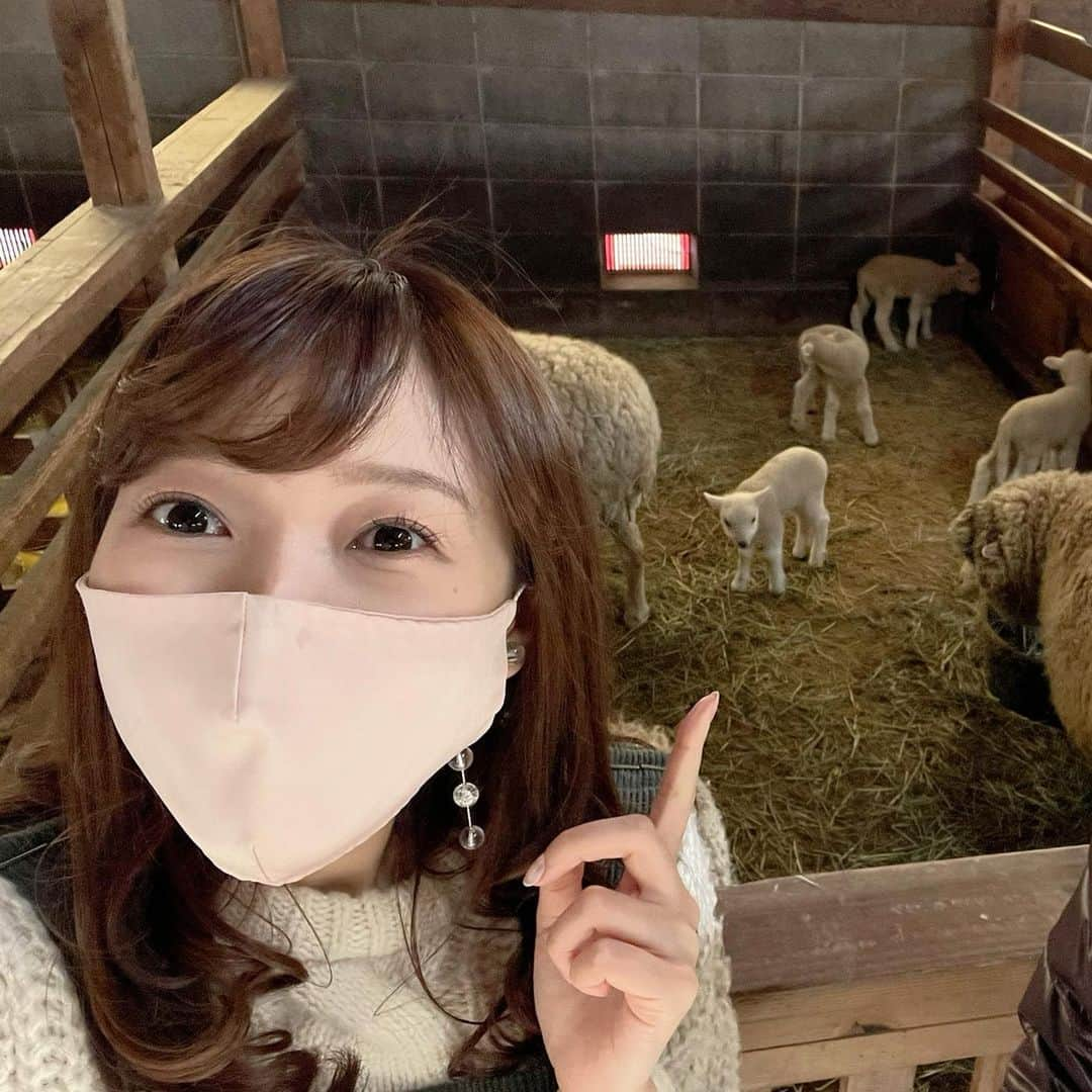 小野澤玲奈さんのインスタグラム写真 - (小野澤玲奈Instagram)「ヤギとヒツジの赤ちゃんを見に行った まかいの牧場。 かわいいかわいい💓と見ていたら  お産の瞬間に立ち会いました🐑  辛そうなお母さんヒツジ… 産まれるまでは静かな緊張の空気だったのに  無事産まれると 周りのヒツジやヤギからメェ〜メェ〜コールが響き渡り 赤ちゃんが立つのを応援しているよう！  赤ちゃんは何度も何度もトライしてやっと立って お乳を飲んでた✨  すごい！！！ 命懸けの瞬間に釘付け🐑 無事大きくなってね💓  #まかいの牧場  #ベビーラッシュ  #羊の出産  #羊の赤ちゃん #ヤギの赤ちゃん」2月7日 17時02分 - reina.onozawa