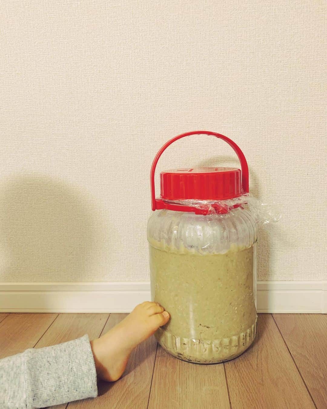砂賀美希さんのインスタグラム写真 - (砂賀美希Instagram)「立春 。今年も無事に手作り味噌。 家族全員の #常在菌 も混ぜ込んで #オーガニック #玄米味噌 に仕込んでみました。 素材に妥協なし！ 毎日使う調味料こそ良いものを選ぶべきだと思っています😌  さて。2021年がいよいよ始まった感じ！ 今年も美味しく  家族の健康を守っていけますように。 ・ ・ #fermentation #japanesefood #soulfood #misosoup #手前味噌 #和食 #日本食 #イキな塩  #有機大豆 #玄米麹 #発酵食 #お味噌汁 #立春大吉 #風の時代 #家族の健康 #cny」2月7日 8時45分 - kimiganasu