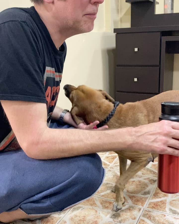 ジェームズ・ガンのインスタグラム：「I have amazing news! Atlanta, the dog I rescued on the streets of Colon, Panama and have been helping to support with the magnificent @fundacionrescatistaskc3 - has been adopted after almost a year by a wonderful man on a farm with horses and another dog. Thank you so so much to all the people who helped her on her journey, especially to @zaryst786 & her wonderful new owner! I literally can’t stop crying. This good girl truly captured my heart and I’m so happy she’s found a paradise of a forever home. 🙏🙏🙏❤️ #adoptdontshop」