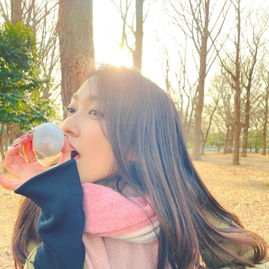 大澤有紗のインスタグラム：「お大福も食べたんだよって報告🍓 公園でくだらない話しながら、きなこぼろぼろしながらいただいた苺大福とわらび餅は最高でした🤤 よし、今日も元気に行ってみよう✊🏻✨ いってらっしゃい✨  #和菓子 #お茶 #苺大福 #大福 #お大福 #わらび餅 #あんこのタイプ　#公園 #ご馳走さまでした」