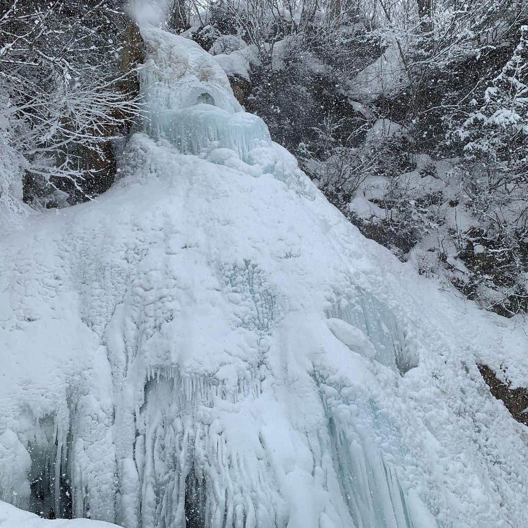 大隅智子さんのインスタグラム写真 - (大隅智子Instagram)「岩手県八幡平の七滝の氷ばく。 凍った滝を「氷ばく」と言います。 落差およそ30m。 自然が作り出す絶景。 圧巻でした！ 今年は寒い冬のため、例年より見応えがあります！ ツララの集合体は、青白く見えました！ #八幡平 #岩手県 #七滝 #氷ばく #ツララ」2月7日 10時42分 - tomokotenki