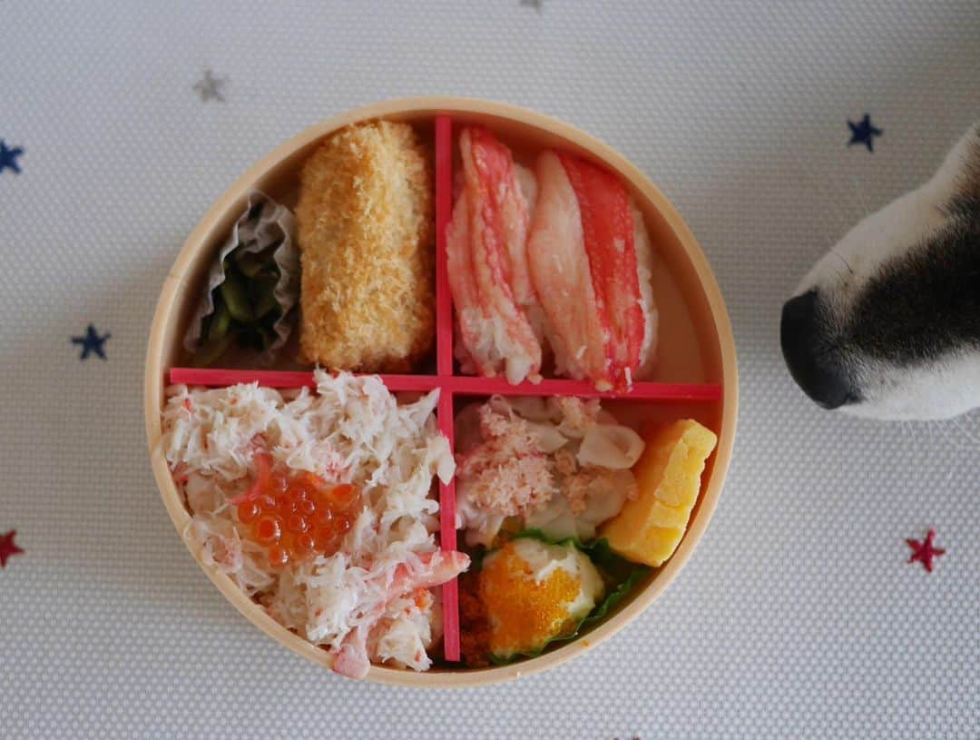 くろさんのインスタグラム写真 - (くろInstagram)「やっぱりカニ好き‼︎弁当🦀 #やっぱりカニ好き弁当 #ずわいガニフレークにイクラのせご飯 #ずわい棒肉にぎり #カニクリームコロッケ #かにの海鮮焼売 #ポテトサラダ #玉子焼き #ちょい辛野沢菜  #創業明治二十五年吉田屋 #小唄寿司本舗吉田屋 #駅弁 #豆も気になるぅ」2月7日 10時42分 - m6bmw