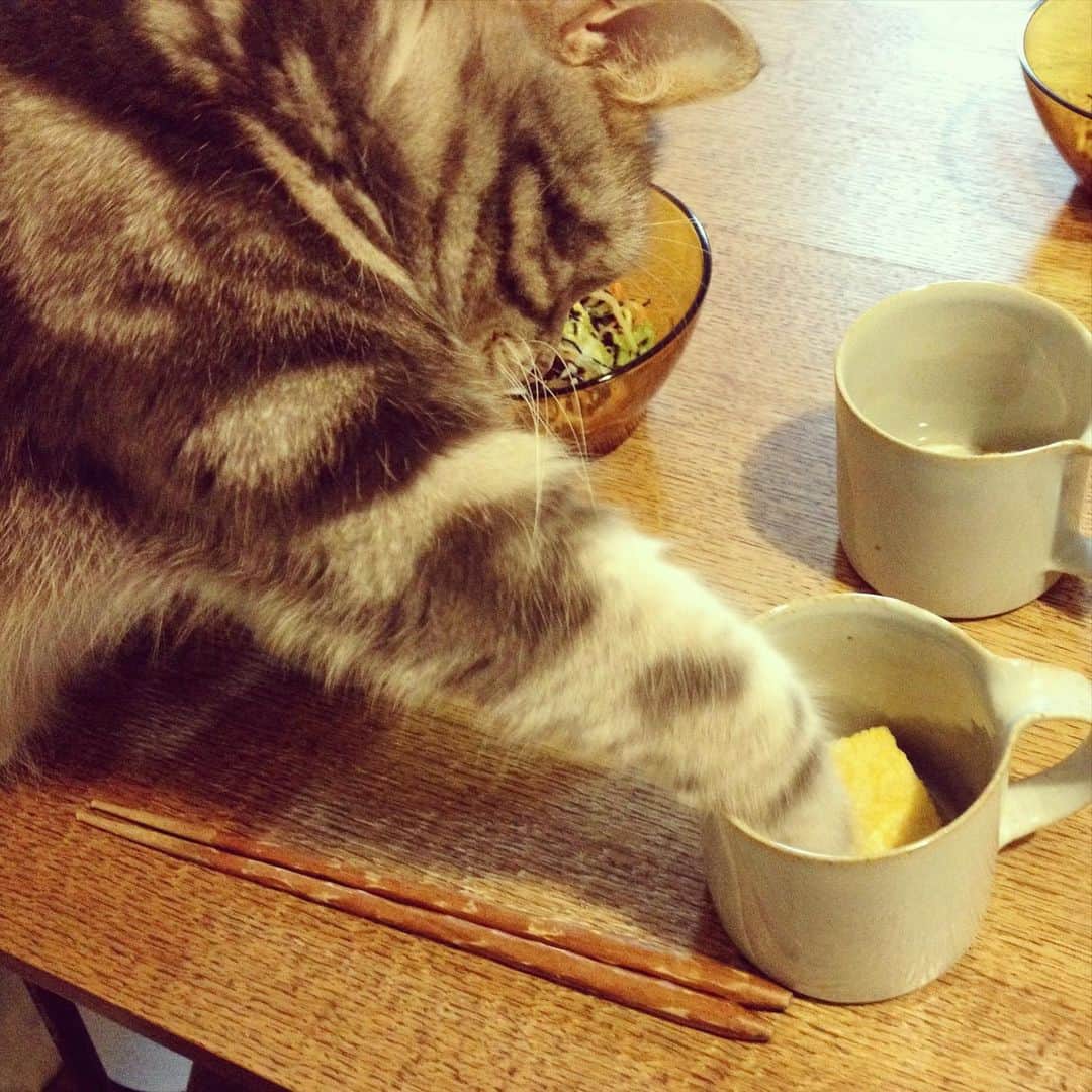 なごむのインスタグラム