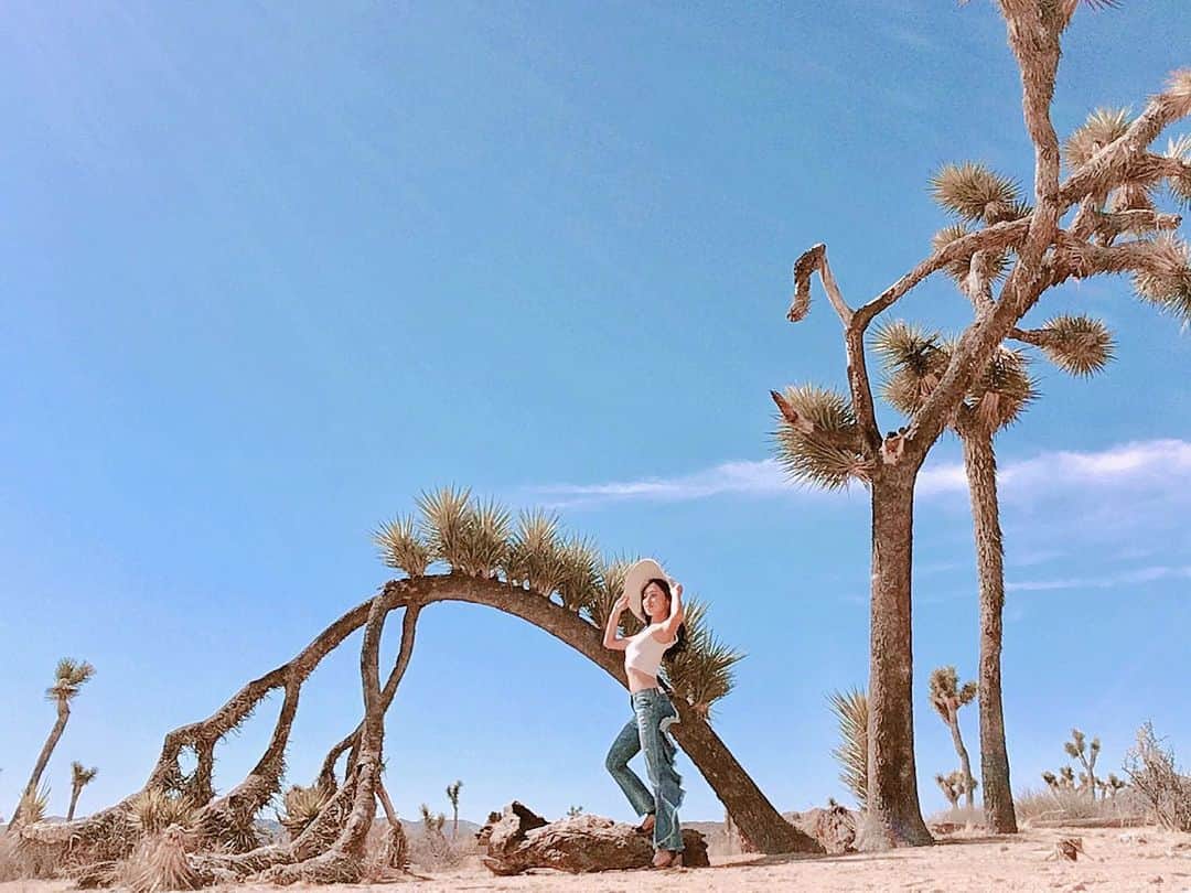 ちゃぴたんのインスタグラム