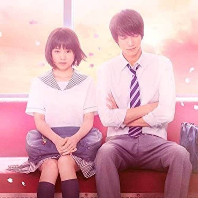 はしもと るかさんのインスタグラム写真 - (はしもと るかInstagram)「🎥 Strobe Edge 2015 . . . #有村架純 #有村架純ちゃん  #有村架純写真集 #有村架純fan  #有村架純好きと繋がりたい  #有村架純生誕祭 #有村架純可愛い  #有村架純かわいい #kasumi_arimura #arimura_kasumi #有村架純ちゃん💗  #可愛い #かわいい  #有村架純可愛い❤️  #arimurakasumi #可愛い  #kasumiarimur #Cute #Strobe_Edge」2月7日 11時04分 - _ruka_hashimoto