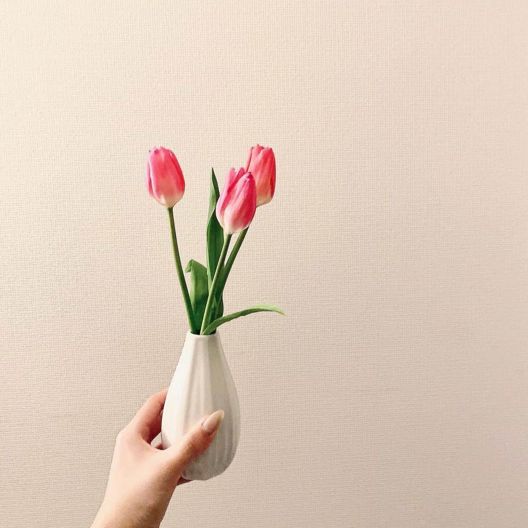 神宮 若奈さんのインスタグラム写真 - (神宮 若奈Instagram)「チューリップは2月のお花なんだって🌷 入園式に咲いてるイメージだったから意外w . 今日はお父様のお誕生日 お祝い会を家族でやるよ🥂 . その前にドライブ🚘 . みんなも感染症対策しながら 素敵な休日を過ごしてね..💕 #チューリップ #tulip #2月」2月7日 11時37分 - jinguwakana