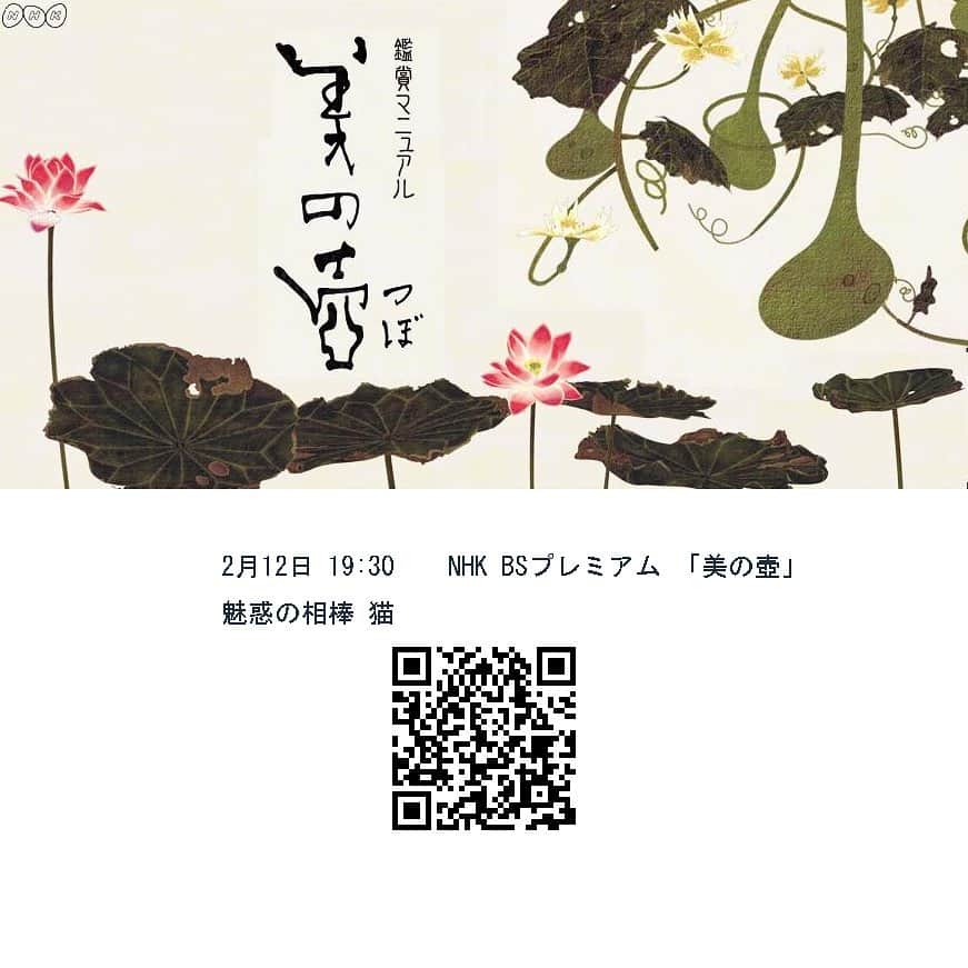 Masayukiさんのインスタグラム写真 - (MasayukiInstagram)「今月は ありがたいことに いろいろとメディアに出演予定です。 お時間ございましたら、ぜひご覧くださいませ。  QRコードは詳細のページにリンクしてます。  【TV】 2月10日 22:00  BS-TBS  「ねこ自慢」　  2月12日 19:30  NHK BSプレミアム  「美の壺」　魅惑の相棒 猫  #ねこ自慢 #美の壷」2月7日 11時43分 - okirakuoki