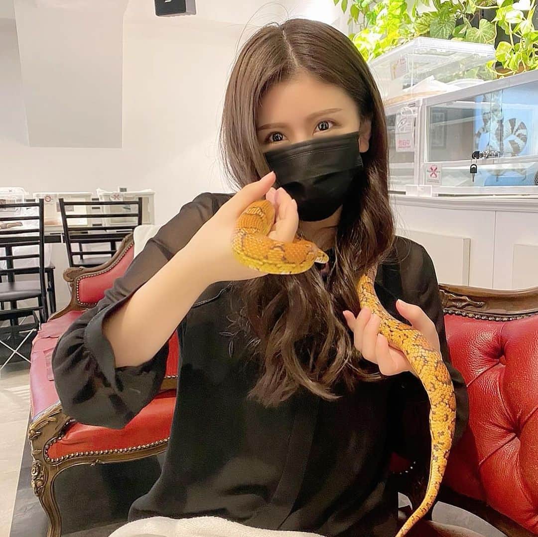 華咲さらさんのインスタグラム写真 - (華咲さらInstagram)「🐍💓 #蛇 #スネーク #snake #snakes #おしゃれさんと繋がりたい#東京カフェ」2月7日 12時40分 - hanasakisara