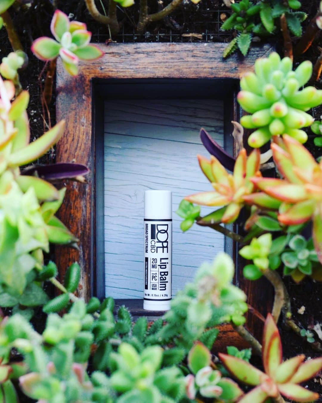 DOPEのインスタグラム：「Try our Peppermint CBD Lip Balm! It’s lab tested and Co2 extracted for the highest quality! 🧪 🥼」