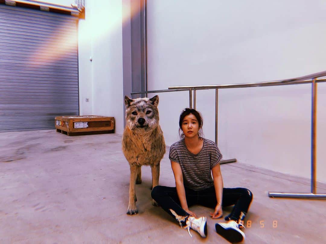 リー・ジャーインのインスタグラム