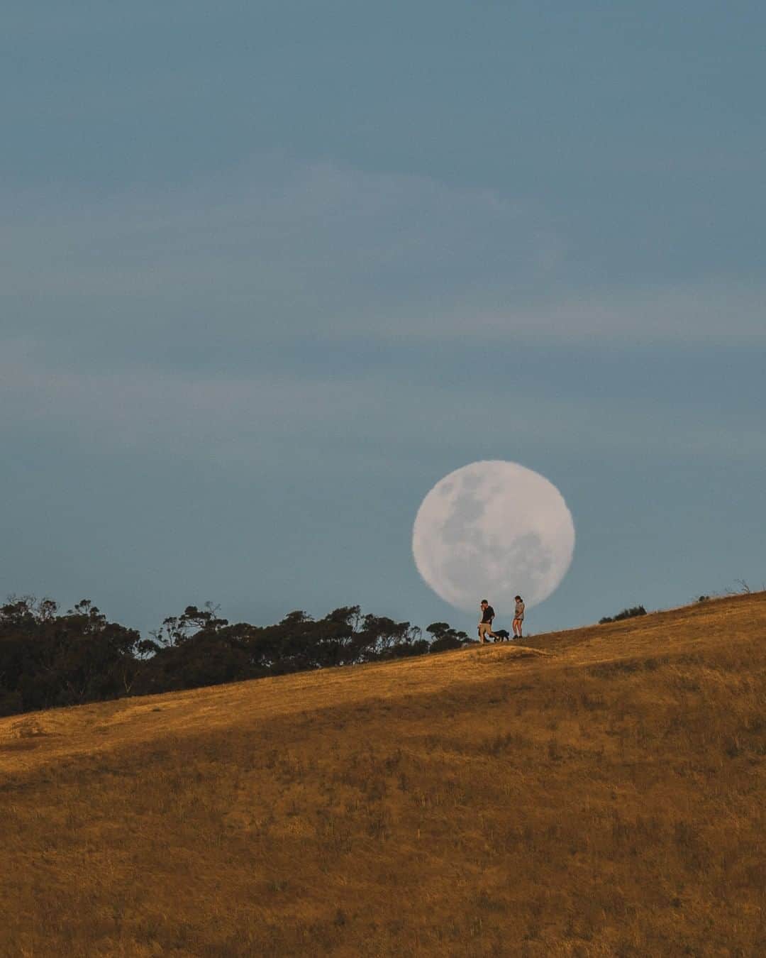 Nikon Australiaさんのインスタグラム写真 - (Nikon AustraliaInstagram)「"This image was a lucky chance image. My original plans were to shoot the moon a little more to the right of this spot, which would have aligned with the hill better. I had originally planned to shoot the moon, a lone tree and all going well a person to add scale to the whole image. It didn't line up as I had hoped and the moon was too far to the left.   I quickly scrambled over a barricade and framed up this image as these people walked back down the hill with the moon rising behind them. The combo of Z 7 and 70-200 S is incredible. These are cropped 100% to get the frame I want and there is still so much detail." - @nathangodwin   Camera: Nikon Z 7 Lens: NIKKOR Z 70-200mm f/2.8 VR S Settings: f/8  1/640s  ISO 100  #Nikon #MyNikonLife #NikonAustralia #NikonZ7 #Z7 #Telephoto #Moon #Moonrise #NightSkyPhotography」2月7日 14時00分 - nikonaustralia