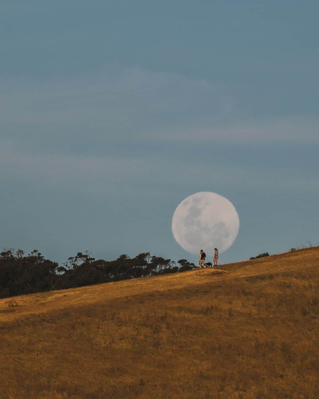 Nikon Australiaのインスタグラム