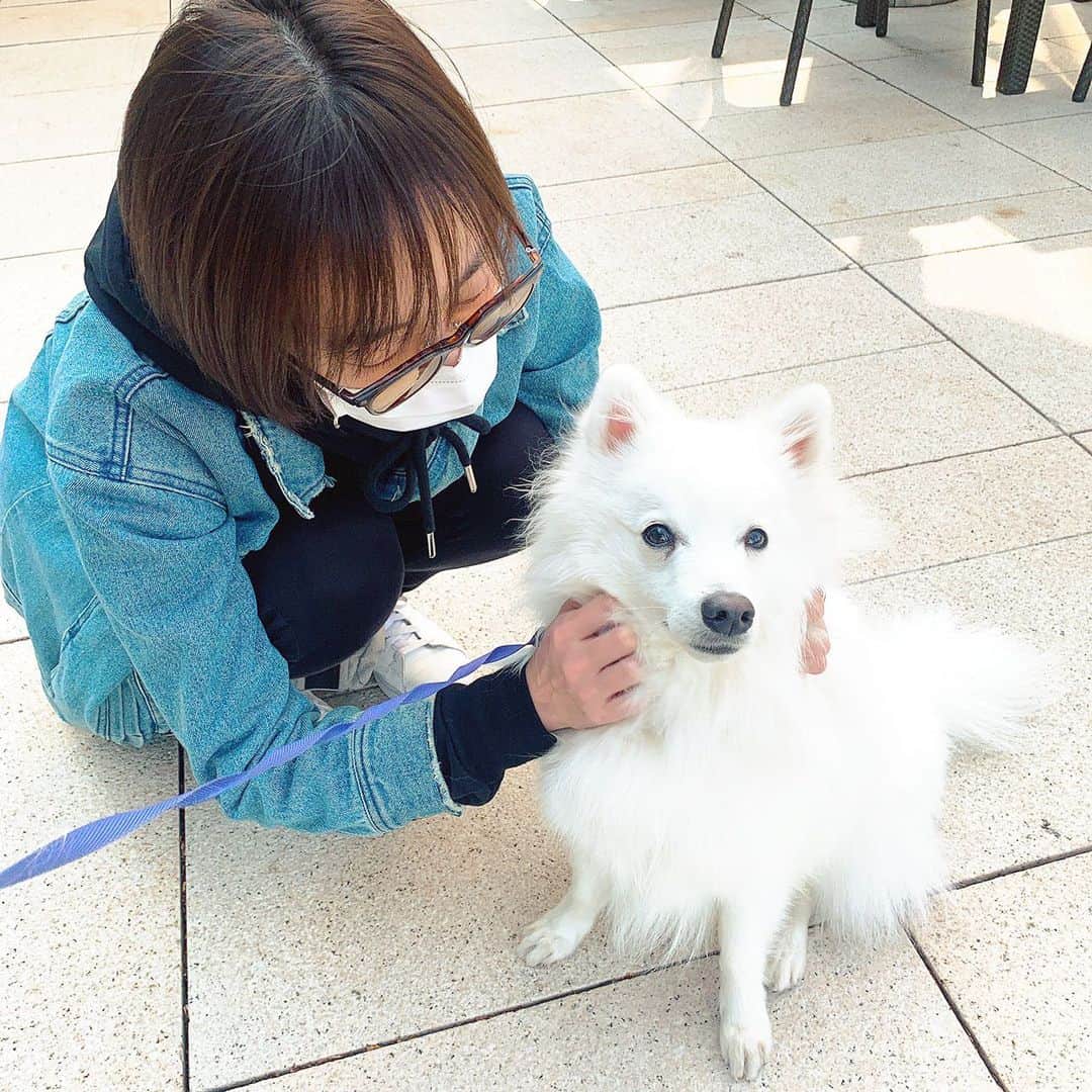 のインスタグラム：「・ ・ Sunday brunch♩¨̮  タカミー @takamiinoue と🐶とお洒落ブランチ✨(ただし2人ともラフですっぴんww) クマ♂可愛すぎる🥺🥺💘💘なんて美しいお顔してるのっ！ 行き来はウォーキングで🏃🏻‍♀️お天気よくて気持ちよかった〜。良い休日の過ごし方🙆‍♀️  3枚目▷▷なんちゅー格好🤣足の癖がすごいよ。立ち上がる瞬間かなw ・ #ブランチ #ミケランジェロ  #おさんぽ  #日本スピッツ  #素敵な日曜日  #足の癖 #sundaybrunch  #haveaniceweekend」