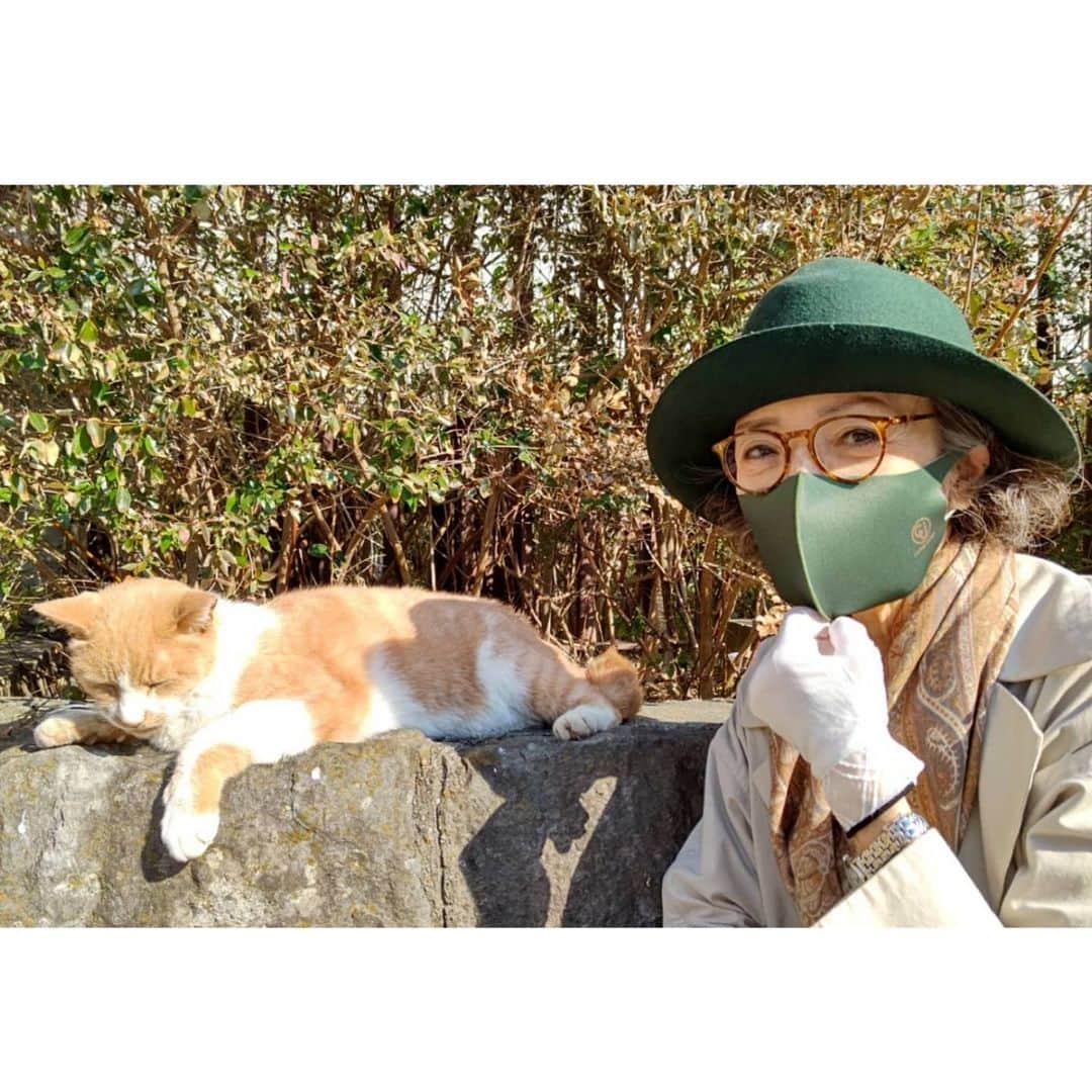 安奈淳さんのインスタグラム写真 (安奈淳Instagram)「天気が良いのでお散歩！ 悠然とした猫に出会いました🎵 珈琲屋さんでコーヒーを買って帰宅～ 美味しい😃 猫と私 安奈淳」2月