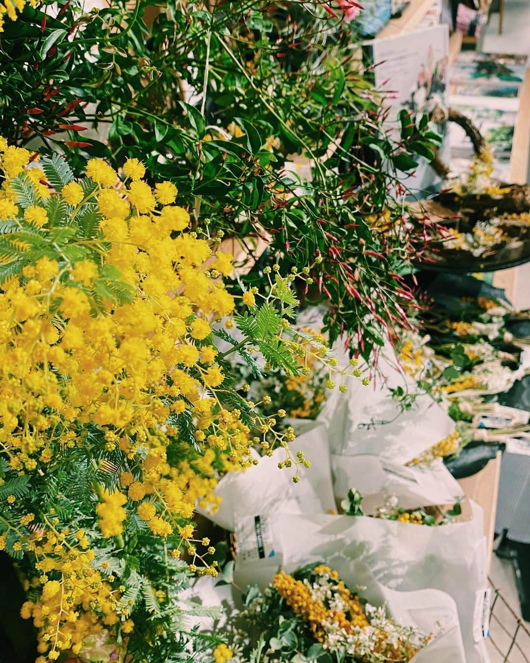柏の葉 T-SITEさんのインスタグラム写真 - (柏の葉 T-SITEInstagram)「【PICK UP】﻿ 『今週のdecora便🌿 #25』﻿ ﻿ 〈ジャンル〉食・暮らし﻿ 〈場所〉1F 暮らし﻿ ﻿ こんにちは。﻿ フラワーショップ デコラ @decoradecora さんから﻿ 届いたお花をご紹介するこちらのコーナー。﻿ 今週は本当に沢山のグリーンが入荷しています！﻿ ﻿ まずはアンティークカラーの #パンジー ！﻿ 花びらのフリルが可愛い、﻿ 「#ココ」というあまり見ない品種のパンジーです。﻿ 花がらを摘んでいくとどんどん咲いて　﻿ 長くお楽しみいただけますよ👀✨﻿ ﻿ 続いてデコラさんイチ押しの #アネモネ ﻿ 「#アンアリス」という﻿ とても珍しい八重咲のアネモネです。﻿ 色は淡いグラデーションになっており、﻿ 花びらにボリュームがあるので存在感も◉﻿ お庭や寄せ植えのメインにいかがでしょうか。﻿ 　　　　　　　　　﻿ ミニサイズの #ホワイトパンパスグラス は﻿ 飾る場所を選ばない優秀な一品。﻿ 沢山入荷したホワイト系の ﻿ #ドライフラワー と合わせて﻿ モノトーンインテリアにどうぞ。﻿ ﻿ 今週は大きな鉢で #ハゴロモジャスミン も。﻿ 花が咲くと甘い香りが漂い、﻿ 優雅な気持ちにさせてくれます。﻿ ﻿ まだまだ人気の球根たち…#原種チューリップ﻿ #ムスカリ #ヒヤシンス が彩りを添えてくれます。﻿ ﻿ 春の定番の #ミモザ も続々入荷中。﻿ ブーケ、リース、オーナメント、鉢もの…﻿ 色々な形でご用意しております。﻿ どのミモザがお好みでしょうか？﻿ ﻿ ーーーーーーーーーーーーーーーーーーーーー﻿ ちかごろ、温かい日差しが増えてきました！﻿ グリーンでおうちにも春を迎えてみませんか？﻿ ﻿ #柏の葉tsite #tsite #柏の葉蔦屋書店 #蔦屋書店 #おうちガーデン #decora #お花のある暮らし #フラワーショップ #フラワーギフト #春のインテリア #球根 #ヒヤシンス #ミモザのリース #ミモザ #ホワイトドライフラワー #チューリップ #球根」2月7日 14時52分 - kashiwanohatsite