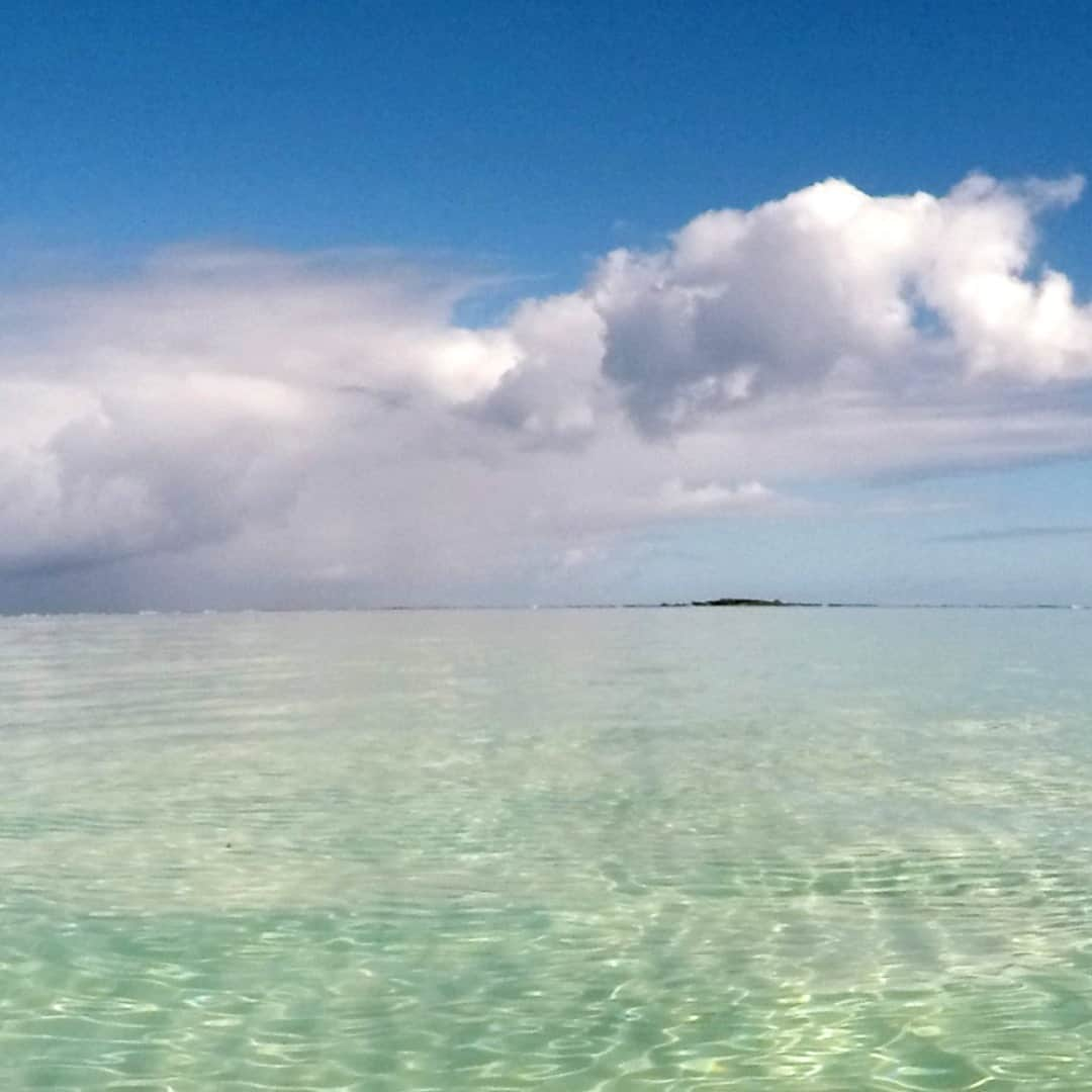 Luxury Cruise by Captain Bruceのインスタグラム：「目の前に広がるのは、カネオヘ湾の沖に広がる遠浅の海。⁠ ⁠ ⁠ ⁠ #captainbruce 🔹 #kaneohesandbar #hawaii #oahu #fun #explorehawaii #ahuolaka #ahuihou #ocean #water #island #aloha #havealohawilltravel #hawaiiinstagram #キャプテンブルース #天国の海ツアー #天国の海 #サンドバーツアー #アフオラカ #ハワイ大好き #オアフ島 #絶景 #海」