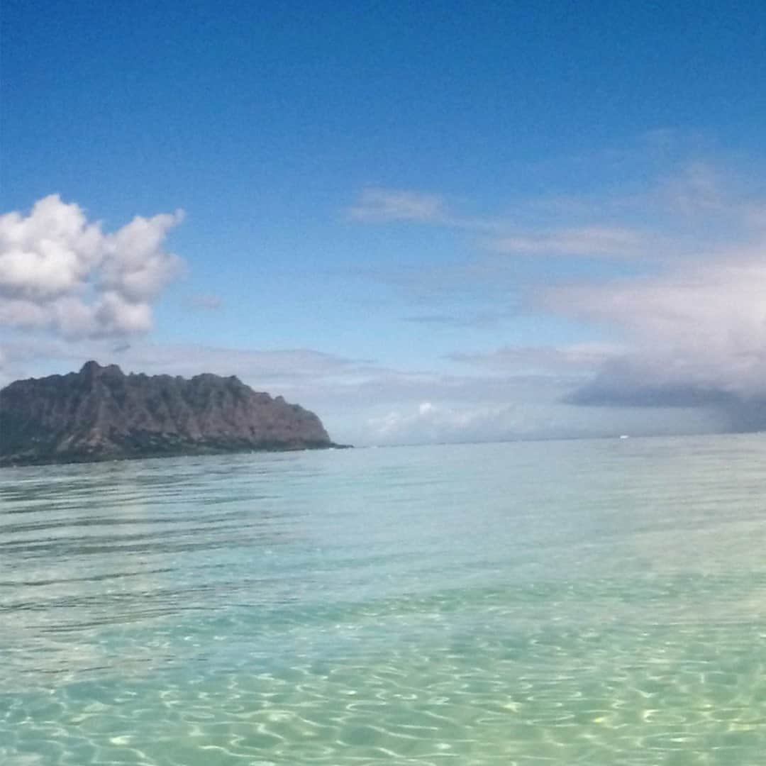Luxury Cruise by Captain Bruceのインスタグラム：「キャプテンブルースの天国の海®ツアーでは美しい景色の中、シュノーケルやSUP、タートルウォッチングも楽しめます。⁠ ⁠ ⁠ #captainbruce 🔹 #kaneohesandbar #hawaii #oahu #fun #explorehawaii #ahuolaka #ahuihou #ocean #water #island #aloha #havealohawilltravel #hawaiiinstagram #キャプテンブルース #天国の海ツアー #天国の海 #サンドバーツアー #アフオラカ #ハワイ大好き #オアフ島 #絶景 #海」