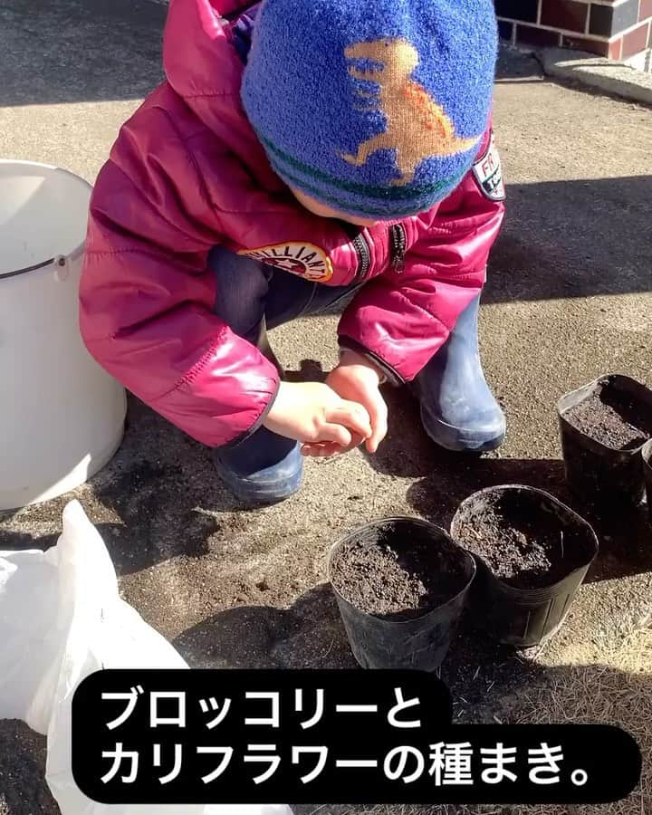 浅利そのみのインスタグラム