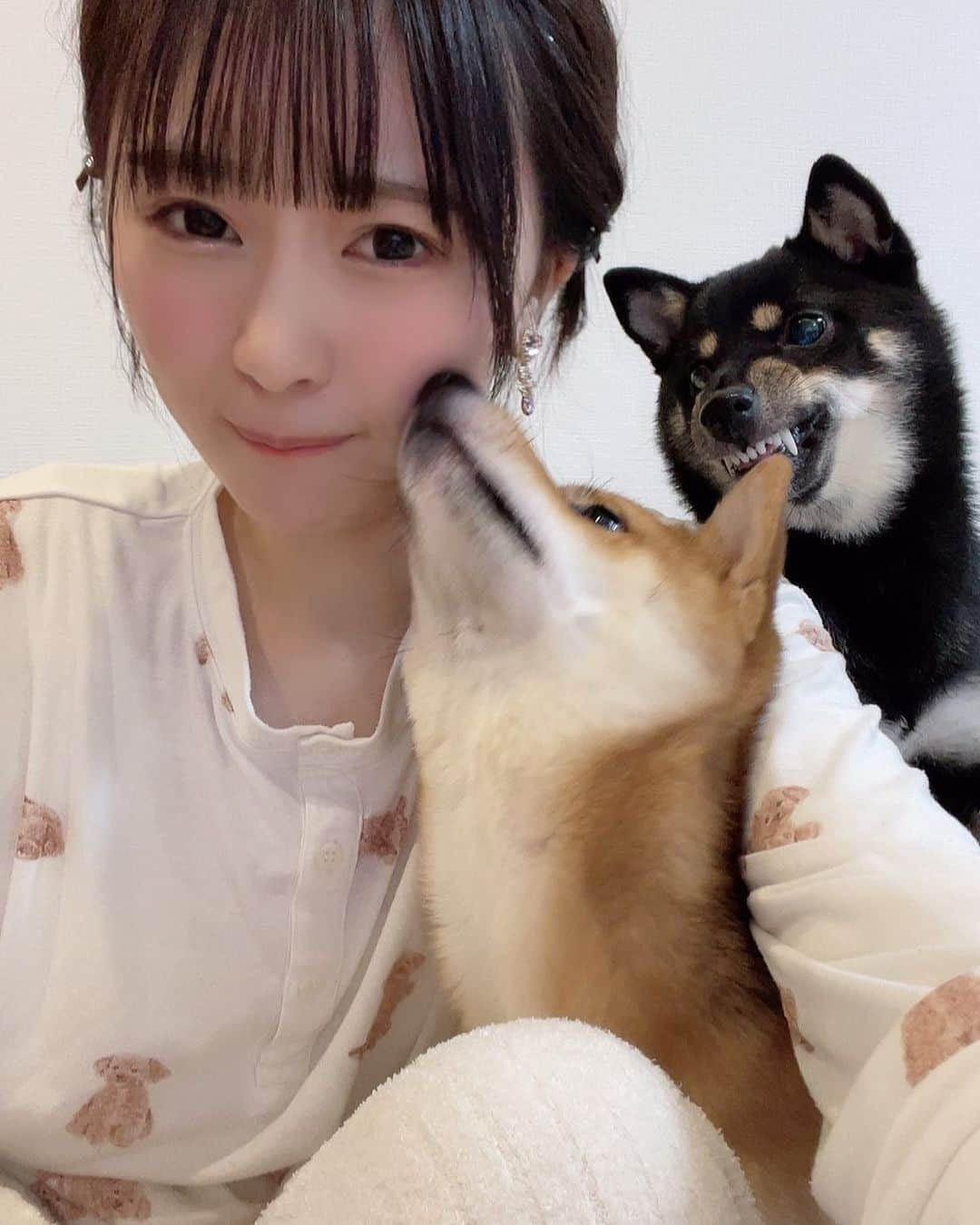 環奈（長沢菜々香の飼い犬）のインスタグラム：「嫉妬された」