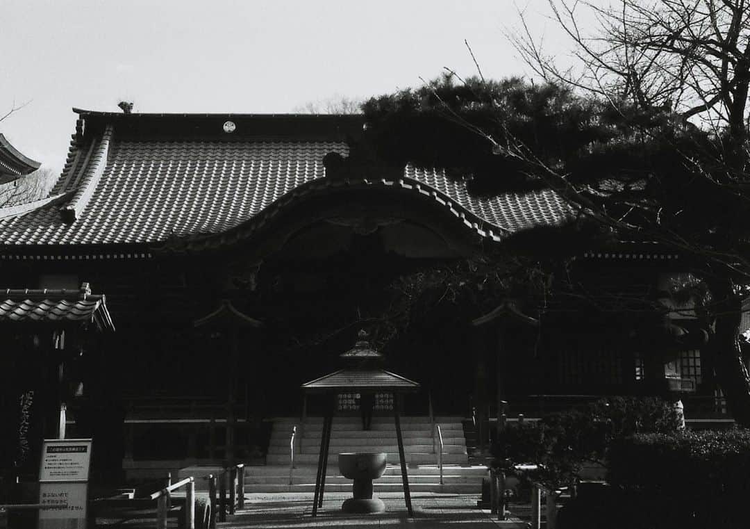 田中裕介のインスタグラム：「いつかの祐天寺。」