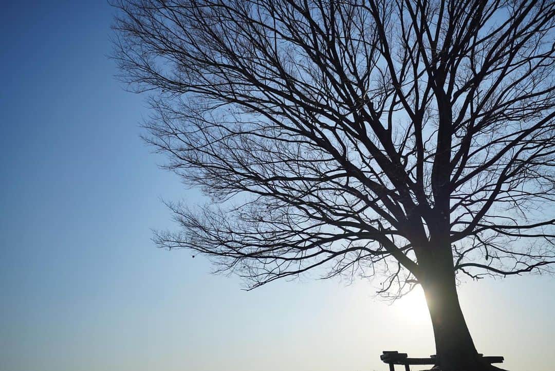 いぶくろ聖志さんのインスタグラム写真 - (いぶくろ聖志Instagram)「人のいないベンチ  #camera #japan #a7iii  #photography  #写真」2月7日 15時44分 - b.smpl