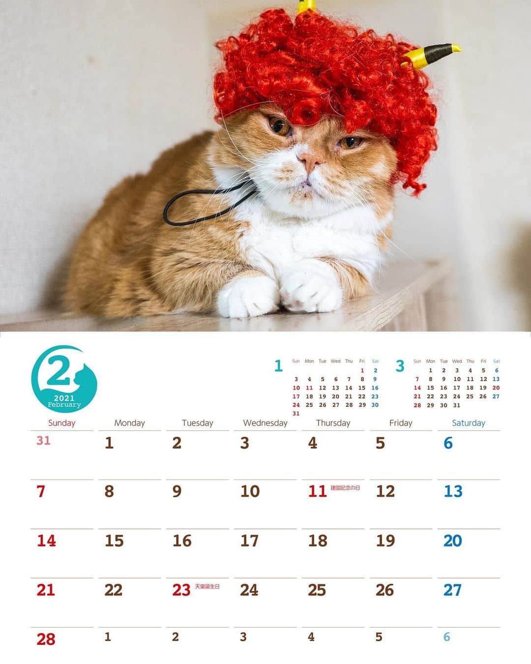 マンチカンズTVのインスタグラム：「マンチカンズの2月用カレンダーを公開中！﻿ Munchkins Calendar February now available! Download→munchkins.jp スマホ壁紙用もあるよ♪ ダウンロードサイトは「マンチカンズ　オフィシャル」で検索してください！﻿ ﻿ #猫 #ねこ部 #ねこら部 #ねこすたぐらむ #ふわもこ部 #ペコねこ部 #のらねこ部 #ねこ好き #ねこもふ団 #ねこばか #ねこバカ #ねこちゃん #ねこさん #ねこらぶ #ネコ #ネコ部 #ネコ好き #ネコバカ #cat #instacat #catstagram #ilovemycat #instagramcats #meow #pet #petstagram #cutepets #マンチカン #マンチカンズ　#munchkin」