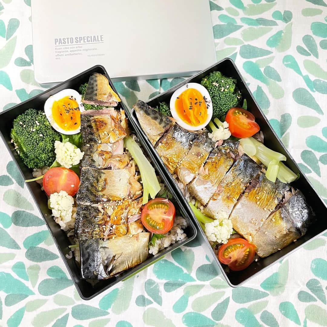 のインスタグラム：「今日のお昼でした❄︎ 魚は皮も頭も内臓も骨も食べる。﻿ 小さい頃から魚が好きだったので﻿ 魚の食べ方で人間性もすごい出るって思う。﻿ ﻿ —— #松本食堂 ——﻿ ﻿ #今日のお弁当 🍱﻿ ⚪︎鯖の塩焼き﻿ ⚪︎野菜たち﻿ ・カリフローレ﻿ ・ブロッコリー﻿ ・トマト﻿ ⚪︎ゆで卵﻿ ⚪︎カサ増し玄米﻿ ﻿ 青魚は身体にとって欠かせない‼️﻿ ﻿ 毎日でも食べたい鯖の塩焼きに﻿ 今後は鯖缶レシピも取り入れていくよー！﻿ 何より鯖が好き。﻿ ﻿ ちなみに、セブンやローソンの﻿ 「鯖の塩焼き」骨も無くて死ぬほど旨いです😏﻿ ﻿ — 🧑🏼🍽 ———﻿ ⓢ #鯖の塩焼き #焼き魚 #のっけ弁 #マツショー弁当﻿」