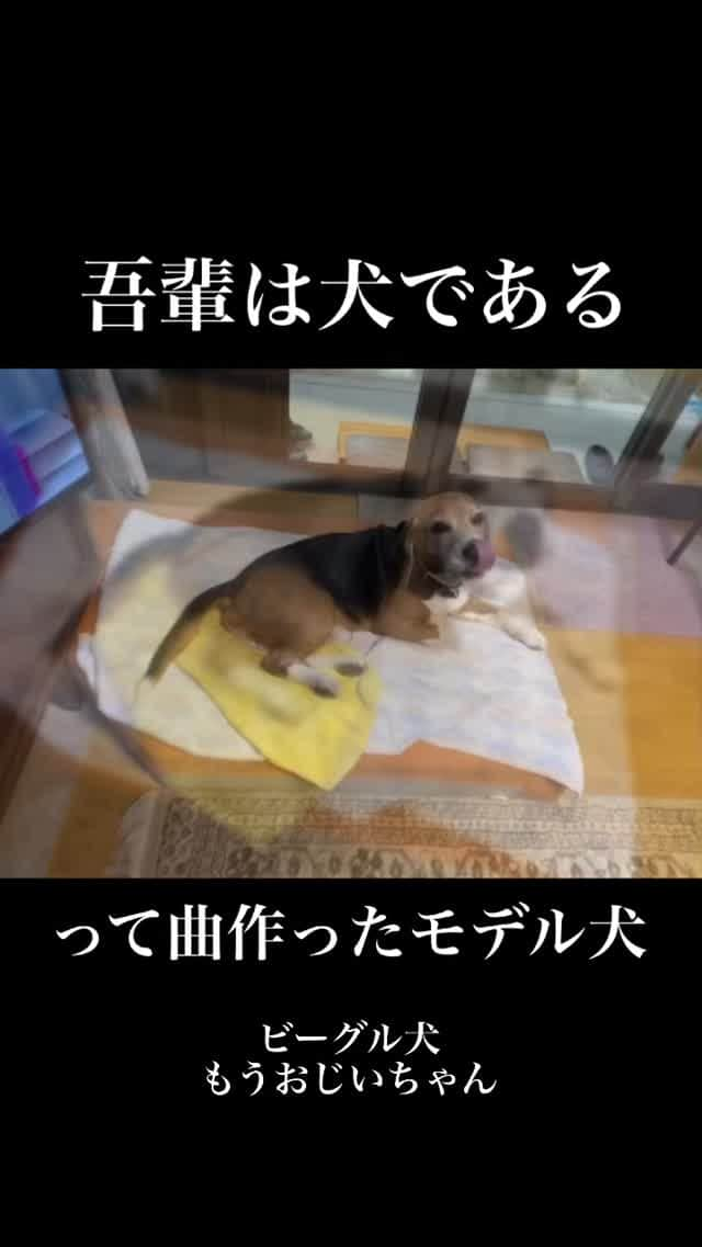 YASSのインスタグラム