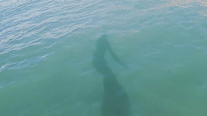 佐藤ルミナのインスタグラム