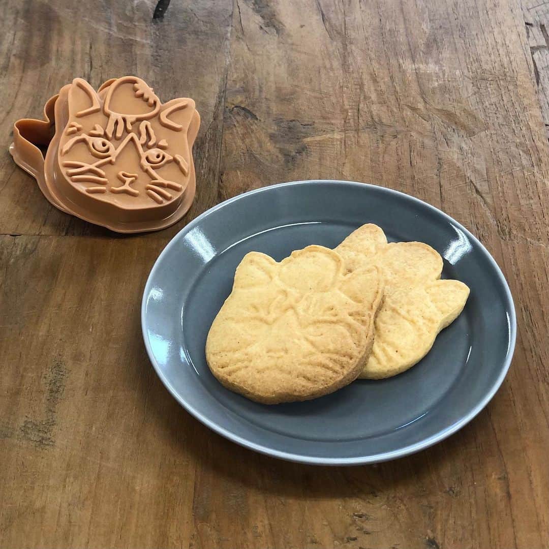 Cat's NapTimeさんのインスタグラム写真 - (Cat's NapTimeInstagram)「【2/10～アイテムお買い上げでプレゼント！】 #cats_naptime6  2/10～「FRUITS TEA PARTY」をテーマにしたCat’s NapTimeの第6弾がスタート。アイテムをお買い上げで、ティータイムが楽しくなるプレゼントをご用意しました。  📍オリジナルクッキー型 第1弾＜画像1、2枚目＞：2/10～START！ 第2弾＜画像3、4枚目＞：2/20～START！ 第1・2弾合計で先着5,000名様(全国合計)にオリジナルクッキー型(非売品)をプレゼント！  店舗とオンラインショップでは運用が異なります。 ✔【店舗】「Cat’s NapTime」アイテムを￥3,000(税別)以上ご購入でプレゼント。 ✔【オンラインショップ】「Cat’s NapTime」アイテムを含むお買い上げ￥3000(税別)以上ご購入でプレゼント。 ※なくなり次第終了となります。 ※一会計につき、お一人様1点限り。オンラインショップでは、第1弾、第2弾それぞれで一注文につき1点限り。 ※オンラインショップでは、第1弾は2/10 12:00～、第2弾は2/20 12:00～予定です。 ※クッキーの焼き上がりはイメージです。 ※店舗によって、臨時休業、一部営業時間変更の場合がございます。 各店舗の休業・営業再開・営業時間の変更につきましては、各商業施設のホームページ等でご確認ください。お客様には大変ご不便をおかけし申し訳ございませんが、何卒よろしくお願い致します。  #catsnaptime #AfternoonTea #AfternoonTeaLIVING #アフタヌーンティー #アフタヌーンティーリビング #catsissue #FRUITSTEAPARTY #サバ美 #オリジナルクッキー型 #クッキー型 #非売品 #ノベルティ #プレゼント」2月3日 11時25分 - catsnaptime