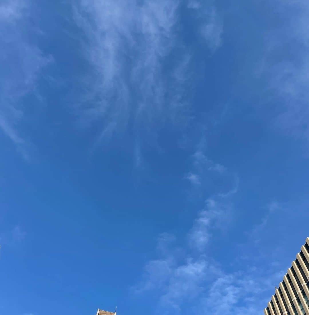 須黒清華のインスタグラム：「ひとつ前の投稿にたくさんのコメント有難うございました😍✨ 皆さんからおすすめして頂いた本を読みながら、出産までのんびり過ごそうと思います📚 . 今日も良いお天気☀️ 皆さんにとって素敵な1日でありますように🍀 #妊婦生活 #自粛生活 #読書」