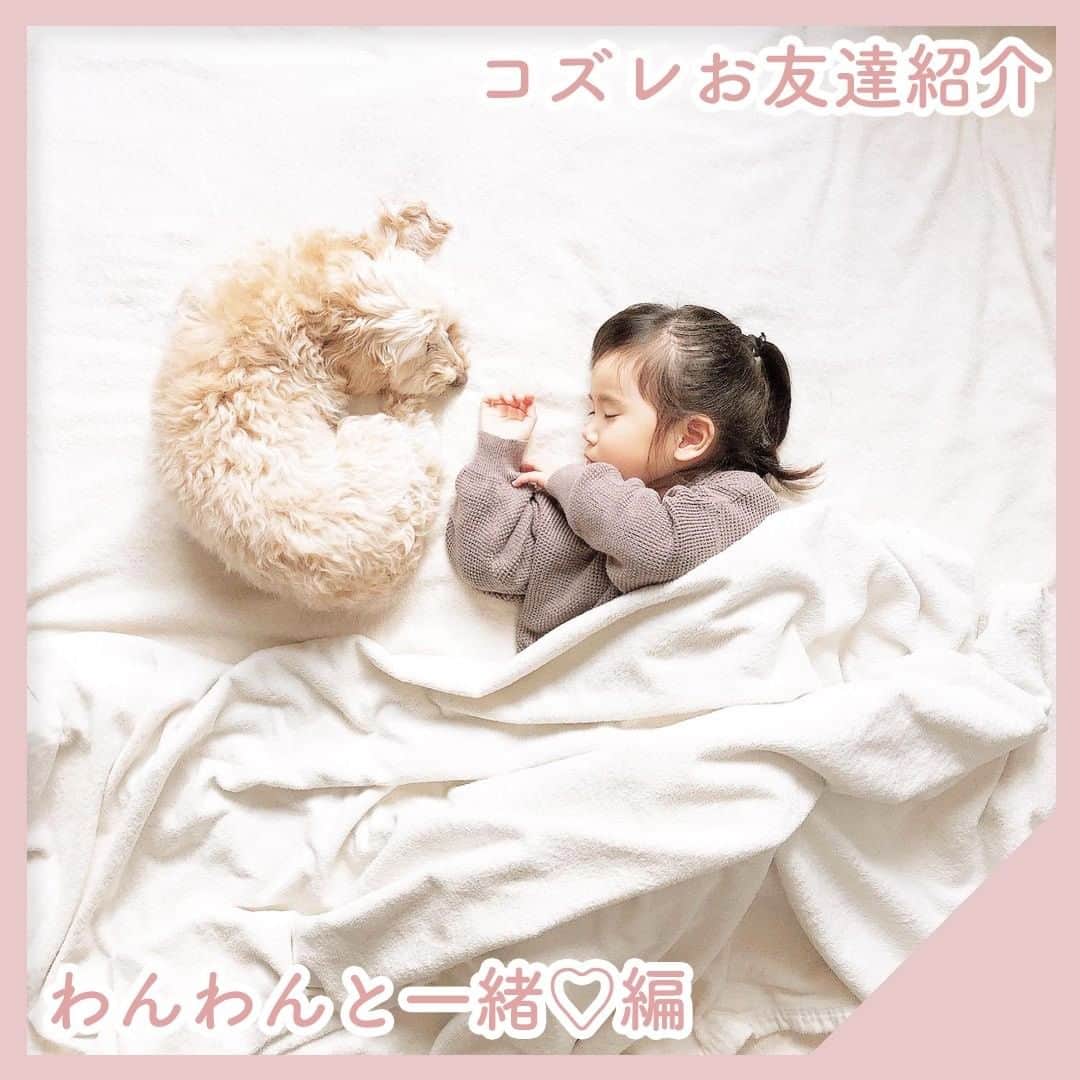 cozre（コズレ）マガジン公式のインスタグラム：「☆☆☆☆☆ @cozreマガジン、ピックアップお友達写真の紹介✨✨ • 素敵なお写真、ありがとうございました！😆 今回は「ワンちゃんと一緒の写真」を中心にご紹介🎵  家族仲良しですね♡  • ☆☆☆☆☆ • みなさまの「子育て👪」に関するお写真をお待ちしてます！ • Follow @cozre Tag #コズレ • 編集部でピックアップしてリポストさせていただきます🎶 (画質等調整し使用させていただく事がございます📱🔧) • ☆☆☆☆☆ • 月間300万人が訪れる！@cozreマガジンには妊娠・出産・子育て情報が満載！プレゼントキャンペーン🎁も実施中🤤✨ • #コズレ #cozreマガジン 編集部 • • #子供 #子ども #赤ちゃん #赤ちゃんのいる生活 #赤ちゃんのいる暮らし #親バカ #親バカ部 #親バカ部ig_baby #親バカ部ig_kids #ママカメラ #かわいい #可愛い #ベビスタグラム #ベビーフォト #子育て #子育てママ #子育てグラム #instagram_kids #kidsgram_tokyo #ig_oyabakabu #kids #baby #cute #わんちゃん #わんちゃんのいる生活 #わんちゃん大好き」