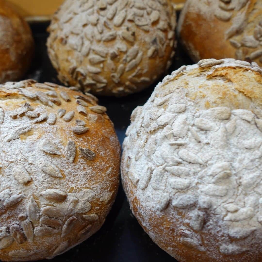 魔女菅原のグルメインスタ