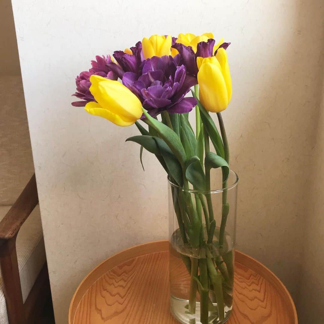 福田葉子さんのインスタグラム写真 - (福田葉子Instagram)「黄色と紫は好きな組み合わせ。チューリップは暖かい室内だとすぐ全開になるので注意しなければならない…。 #flowers #spring #yellow #purple #love #sunny #stayhome #チューリップ　#お花　#春待ち　#花のある暮らし」2月3日 12時40分 - yoyoyokoko