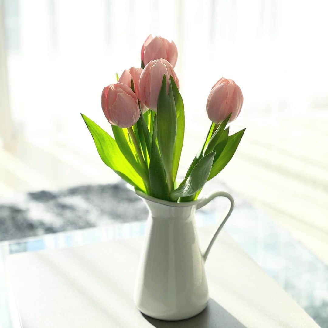 吉田美紀さんのインスタグラム写真 - (吉田美紀Instagram)「・ ・ ポカポカ気持ちがいいお部屋にチューリップ🌷 ・ 立春･:*+. まだひんやりとするけれど新しい季節のはじまり！ 新しい気持ちで春にのぞみたいな。 ・ 商品も一気にカラフルになってきました💐 ・ #tulips #flowers #spring #立春 #チューリップ#お花のある暮らし」2月3日 12時47分 - miki__yoshida