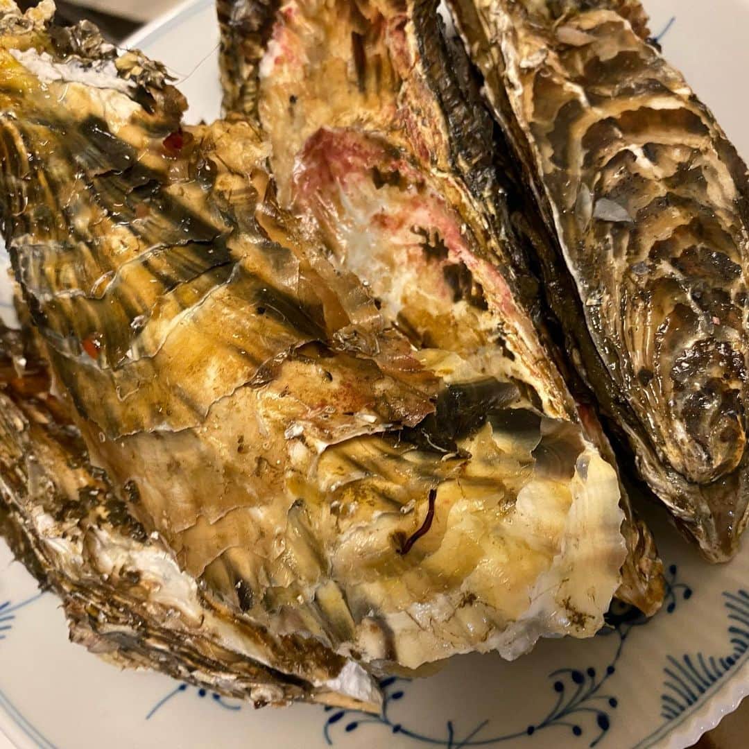 乃下未帆さんのインスタグラム写真 - (乃下未帆Instagram)「我らがじゅんぺーさん　@jumpeikatoh51 のご紹介・そしてご指導のもとw  北海道茅部郡森町"イワムラ水産"さんの牡蠣で新年会牡蠣祭り！！！  これが…東京で食べれるなんてことあっていいんですか…いいんです…！  はよまた行きたい💕 ✔︎ https://poke-m.com/producers/77217」2月3日 13時26分 - noshita34